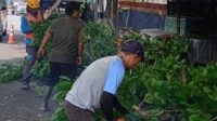 DPUTR Kota Sukabumi Pangkas 104 Pohon
