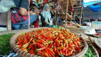 Harga Cabai Rawit di Sukabumi Menurun, Awal Bulan Oktober 2024