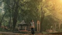 Hutan Kera Plangon di Cirebon, Destinasi Alam Unik Perpaduan Sejarah
