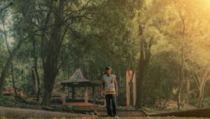 Hutan Kera Plangon di Cirebon, Destinasi Alam Unik Perpaduan Sejarah