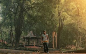 Hutan Kera Plangon