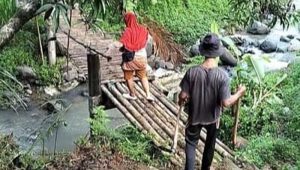 Bupati Sukabumi Tanggapi Jembatan Bambu di Cipanas Cisolok Rusak 