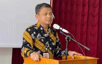 Kepala DPMPTSP Kabupaten Sukabumi Ali Iskandar