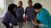 Klinik Hewan Polbangtan Kementan Gelar Vaksinasi Rabies Gratis untuk Anabul Kesayangan