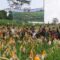 Kodim 0607 Kota Sukabumi Panen Jagung di Caringin