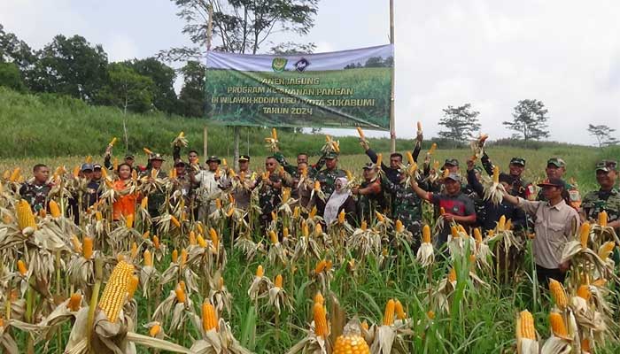 Kodim 0607 Kota Sukabumi Panen Jagung di Caringin