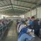 PT GSI Cikembar Sukabumi