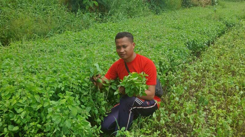 Petani Muda Cianjur