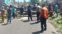 Pohon Tumbang di Kadudampit Sukabumi, Timpa Rumah Warga Hingga Tutup Jalan