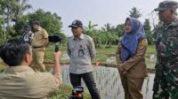 GASPOL Kementan, Polbangtan Bogor Live Streaming Laporkan Progres Pompanisasi