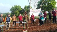 Gerakan Tanam Padi Gogo di Lahan Sawah Tadah Hujan Kabupaten Bogor