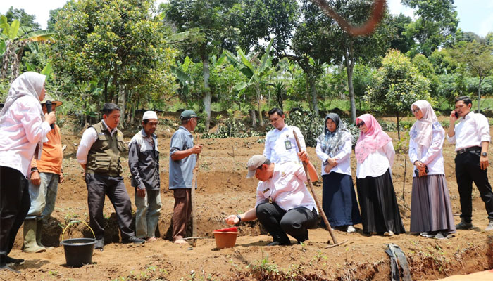 Polbangtan Kementan Gelar Sekolah Lapang Padi Gogo