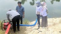 Polbangtan Kementan Lakukan Monitoring Program Pompanisasi di Desa Lumbang dan Jagabita