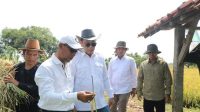 Wujudkan Pertanian Modern, Staf Khusus Mentan Lakukan Peninjauan di Indramayu