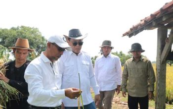 Staf Khusus Mentan