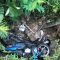 Kondisi jasad perempuan yang tertindih sepeda motor di dalam parit sedalam tiga meter di Kampung Bojongkawung, RT 01/07, Desa Girijaya, Kecamatan Nagrak, Kabupaten Sukabumi, Jabar yang ditemukan warga pada Kamis, (17/10/2024). (Aditia A Rohman)