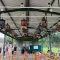 Yonarmed 13 Kostrad Gelar Lomba Burung Berkicau