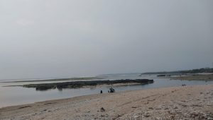 Pesona Pantai Ujung Genteng Memanjakan Pengunjung