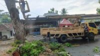 Antisipasi Kecelakaan, Disperkim Kabupaten Sukabumi Pangkas Pohon di Jalan Cikakak