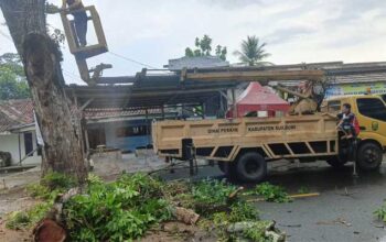Disperkim Kabupaten Sukabumi Pangkas Pohon