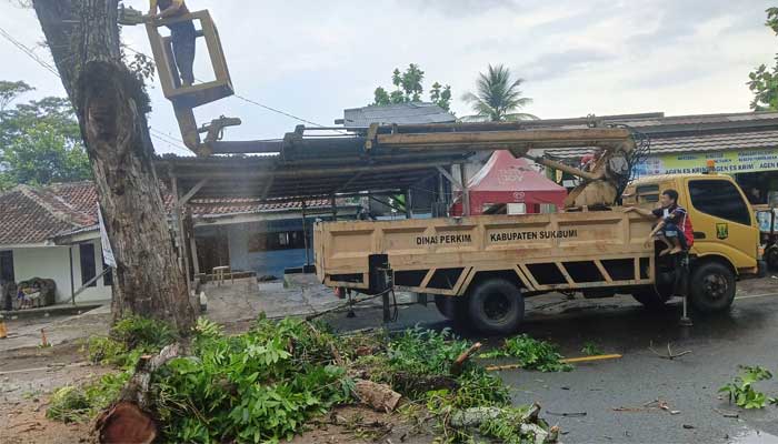 Disperkim Kabupaten Sukabumi Pangkas Pohon