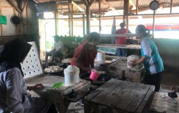 Kampung Sadbor Penghasil Enye
