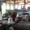 Kampung Sadbor Penghasil Enye