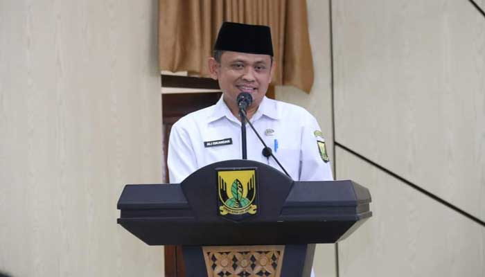 Kepala DPMPTSP Kabupaten Sukabumi Ali Iskandar