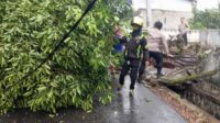 Kota Sukabumi Diterpa Angin Kencang, Pohon dan Rumah Porak-poranda