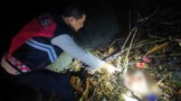 Geger Penemuan Jasad Mayat Bayi di Muara Sungai Cikaso, Kapolsek Tegal Buleud Beberkan Kronologisnya