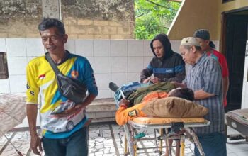 Petugas P2BK Parakansalak Tertimpa Pohon Tumbang