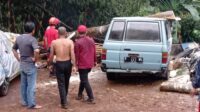 Hujan Deras Disertai Angin Kencang di Sukabumi, Pohon Karet Timpa Lima Mobil dan Pos Ronda di Cibadak
