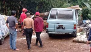 Hujan Deras Disertai Angin Kencang di Sukabumi, Pohon Karet Timpa Lima Mobil dan Pos Ronda di Cibadak