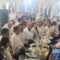 Presiden Ke-7 RI Joko Widodo, dalam kegiatan bersama Ridwan Kamil di Jakarta, Senin (18/11/2024).