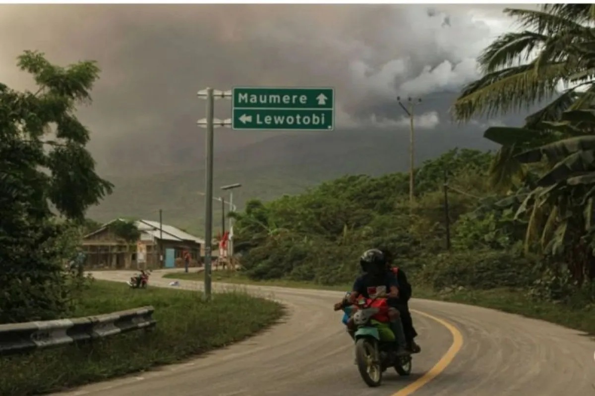 Gunung Lewotobi Laki-Laki (ANTARA FOTO/Mega Tokan)