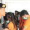 Tersangka perkara judi online dihadirkan dalam konferensi pers di Mako Polres Bogor, Cibinong, Kabupaten Bogor, Jawa Barat, Selasa (6/11/2024). (Fikri Setiawan)