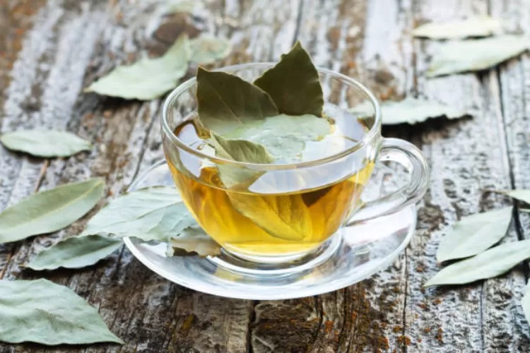 Rebusan hangat daun salam miliki banyak manfaat bagi kesehatan (Pixabay)