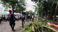 Warga Bogor Tewas Tertimpa Pohon Saat Dibonceng Temannya