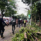 Penanganan pohon tumbang di Jalan Tentara Pelajar, Kota Bogor oleh petugas gabungan pada Jumat (1/11/2024). (Shabrina Zakaria)