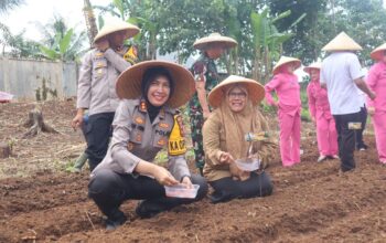 PENANAMAN: Kapolres Sukabumi Kota AKBP Rita Suwadi bersama-sama dengan Dandim 0607 Kota Sukabumi, Letkol Inf Yudhi Haryanto saat menanam jagung di Mapolsek Warudoyong Polres Sukabumi Kota.(FT: IST)