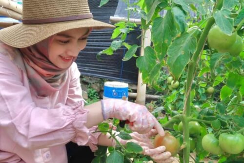 ILUSTRASI: Potret Melody Nurramdhani Laksani Eks Member JKT 48 saat berkebun, dinilai cocok jadi Duta Petani Milenial oleh netizen. (Instagram @melodylaksani92)