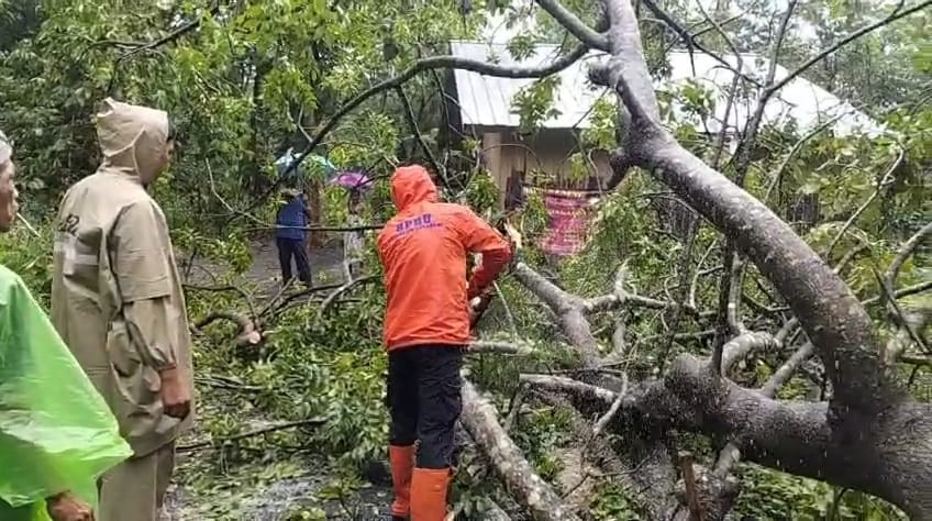 Tim jajaran forkopimcam Simpenan Kabupaten Sukabumi saat evakuasi pohon roboh di Cidadap.(FOTO : NANDI/ RADARSUKABUMI)