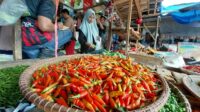 Jelang Natal dan Tahun Baru, Harga Cabai di Palabuhanratu Naik