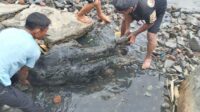 DLH Sukabumi Respon Jalan Alun Alun Laut Gadobangkong Kerap Banjir Saat Hujan Deras 