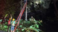 PLN Jabar Berkerja Keras Melakukan Recovery 1.383 Gardu Terdampak akibat Cuaca Buruk
