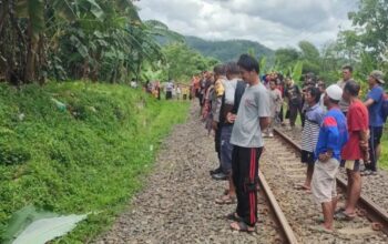 Warga mengerumuni lokasi kecelakaan, di mana seorang pria yang sudah lanjut usia tewas di lokasi kejadian akibat tersambar KA Siliwangi Sukabumi-Cianjur di Kampung Cilangla, RT 08/04, Desa Cireunghas, Kecamatan Cireunghas, Kabupaten Sukabumi pada Jumat (29/11/2024).
