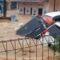 Sejumlah mobil milik warga terbawa arus banjir bandang akibat meluapnya Sungai Cikaso di Kampung Cierih, Desa Datarnangka, Kecamatan Sagaranten, Kabupaten Sukabumi, Jabar pada Rabu, (4/12/2024). (ist)
