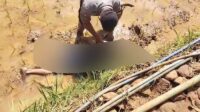 Warga Balekambang Sukabumi Ditemukan meninggal Dunia di Sawah, Diduga Penyakit Epilepsinya Kambuh