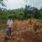 Suasana saat Nenek Nani dan Aman membersihkan rumput di area makam anaknya di kampung Tegal, Desa Cibodas Kecamatan Palabuhanratu, Kabupaten Sukabumi.(FOTO : NANDI/ RADARSUKABUMI)