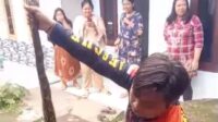 Masuk Rumah, Ular Piton Sempat Gegerkan Warga Kelurahan Cisarua